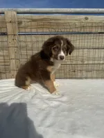 processed/9a540cc2-194a-4f9e-9e02-2f9a605c3629/listing/4133652d-a8cc-4349-a6ac-4985adffb245/4a1536d0-4140-451f-9594-a3ed9c35cf10