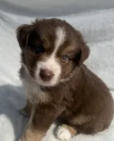 processed/9a540cc2-194a-4f9e-9e02-2f9a605c3629/listing/4133652d-a8cc-4349-a6ac-4985adffb245/4c191744-9f8e-4379-90c2-03e1b58fffbf