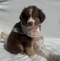 processed/9a540cc2-194a-4f9e-9e02-2f9a605c3629/listing/4133652d-a8cc-4349-a6ac-4985adffb245/6f52230f-bb35-4909-ab1a-23e43747add5