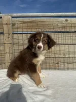 processed/9a540cc2-194a-4f9e-9e02-2f9a605c3629/listing/4133652d-a8cc-4349-a6ac-4985adffb245/8cc21dc5-beaa-4f1b-aec8-cc9241271951