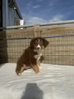 processed/9a540cc2-194a-4f9e-9e02-2f9a605c3629/listing/4133652d-a8cc-4349-a6ac-4985adffb245/90eee910-3943-4b86-9f88-faef149a23df