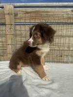 processed/9a540cc2-194a-4f9e-9e02-2f9a605c3629/listing/4133652d-a8cc-4349-a6ac-4985adffb245/c141fbe3-164a-4a1c-84d2-c4abcadfd72d