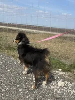 processed/9a540cc2-194a-4f9e-9e02-2f9a605c3629/listing/cd47ea65-3997-4ee0-96a8-3ee166b9b8d0/1a9d0e81-df67-4fd9-ac72-e886fe5df23c