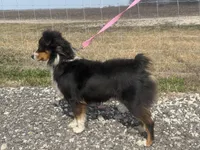 processed/9a540cc2-194a-4f9e-9e02-2f9a605c3629/listing/cd47ea65-3997-4ee0-96a8-3ee166b9b8d0/2c1a671d-8fd8-4762-b9b4-2cb63acb515f