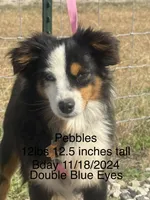 processed/9a540cc2-194a-4f9e-9e02-2f9a605c3629/listing/cd47ea65-3997-4ee0-96a8-3ee166b9b8d0/437381a8-669f-4e87-8dc5-d1bb050e4757