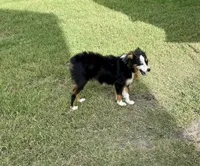 processed/9a540cc2-194a-4f9e-9e02-2f9a605c3629/listing/cd47ea65-3997-4ee0-96a8-3ee166b9b8d0/551924e4-9dd8-4a23-8823-13a1f1a1dccc