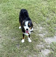 processed/9a540cc2-194a-4f9e-9e02-2f9a605c3629/listing/cd47ea65-3997-4ee0-96a8-3ee166b9b8d0/8b58ccb2-cac2-436f-b9f4-a82d0d64a73e