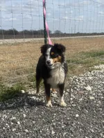 processed/9a540cc2-194a-4f9e-9e02-2f9a605c3629/listing/cd47ea65-3997-4ee0-96a8-3ee166b9b8d0/9034cd2a-95af-4605-b1f3-a6d2b8b7faeb