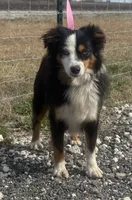 processed/9a540cc2-194a-4f9e-9e02-2f9a605c3629/listing/cd47ea65-3997-4ee0-96a8-3ee166b9b8d0/f1263293-afc0-4bf7-81cb-4bf385b4f59f