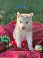 processed/9a65e9aa-ad37-4e8f-9d9d-a2a651c9bff7/listing/066e4501-9207-4dd4-b286-d49a94440329/2e1677e7-b3ee-44b5-bfcf-f42546c81289