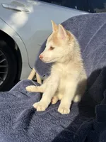 processed/9a65e9aa-ad37-4e8f-9d9d-a2a651c9bff7/listing/066e4501-9207-4dd4-b286-d49a94440329/7616fc5b-17f9-45d1-8316-be755f1cf1cf