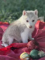 processed/9a65e9aa-ad37-4e8f-9d9d-a2a651c9bff7/listing/066e4501-9207-4dd4-b286-d49a94440329/79e5d7f7-3c99-4769-ae2b-920bc7c2d045