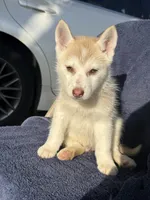 processed/9a65e9aa-ad37-4e8f-9d9d-a2a651c9bff7/listing/066e4501-9207-4dd4-b286-d49a94440329/b0aa0998-7172-445c-ac5c-fbbf0cc049a0