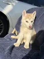 processed/9a65e9aa-ad37-4e8f-9d9d-a2a651c9bff7/listing/066e4501-9207-4dd4-b286-d49a94440329/be845d48-1acd-4aa4-b509-77a874b898b6