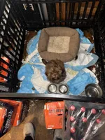 processed/9a687292-761f-4061-9f9e-5d4b3a2d0a77/listing/8d55af62-d9bf-41ec-82c7-ba5eaa527ce6/0acd7c01-2407-4f3f-87ef-c0ebceeafb63