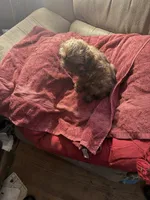 processed/9a687292-761f-4061-9f9e-5d4b3a2d0a77/listing/8d55af62-d9bf-41ec-82c7-ba5eaa527ce6/5a495ea0-65ed-4bf9-8ac9-34433b2e6444