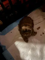 processed/9a687292-761f-4061-9f9e-5d4b3a2d0a77/listing/8d55af62-d9bf-41ec-82c7-ba5eaa527ce6/668d123f-e026-4ffa-918d-7c500021ce89