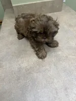 processed/9a687292-761f-4061-9f9e-5d4b3a2d0a77/listing/8d55af62-d9bf-41ec-82c7-ba5eaa527ce6/72051c79-e734-485a-9c75-b2d0535d33a7