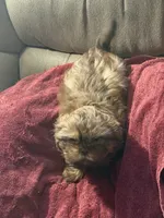 processed/9a687292-761f-4061-9f9e-5d4b3a2d0a77/listing/8d55af62-d9bf-41ec-82c7-ba5eaa527ce6/9d277ca8-b65b-4007-971f-d3e792c543bb