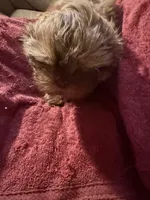 processed/9a687292-761f-4061-9f9e-5d4b3a2d0a77/listing/8d55af62-d9bf-41ec-82c7-ba5eaa527ce6/a52d4c59-1a46-477a-98aa-9782311f49ba