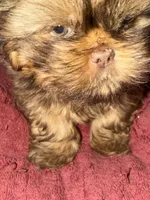 processed/9a687292-761f-4061-9f9e-5d4b3a2d0a77/listing/8d55af62-d9bf-41ec-82c7-ba5eaa527ce6/e04277d5-ba1b-4988-b725-8853a47ea854