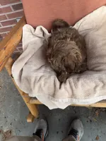 processed/9a687292-761f-4061-9f9e-5d4b3a2d0a77/listing/8d55af62-d9bf-41ec-82c7-ba5eaa527ce6/e79bcc01-68f7-4b20-b392-f08e4ba3723a