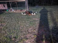 processed/9a88f4b0-935d-4923-a435-ef91d3882ba0/facility/3783f4d5-3f83-4be7-bdec-cc040a141229