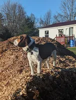 processed/9a88f4b0-935d-4923-a435-ef91d3882ba0/facility/60d8d4c4-80d1-459a-a556-7a683dacf623