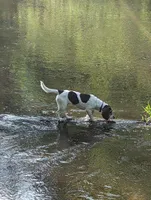 processed/9a88f4b0-935d-4923-a435-ef91d3882ba0/facility/71e2b823-a032-4f85-8e68-6342ce45a3fa