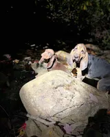 processed/9a88f4b0-935d-4923-a435-ef91d3882ba0/facility/93b3c523-1e66-4766-b24d-142911bbee14