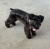 processed/9a8a4554-eb0a-46bc-9bad-ad14710d7c01/facility/7443a7e9-2000-4e8f-ac5f-1811e21046c5