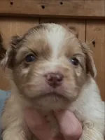 processed/9a9368cc-132f-4923-90a2-df2ba5aaf076/listing/326ceb3c-ed1c-47ed-ab04-e271826a8c18/bbee35b0-02df-4df3-a85e-9692dd7b4796