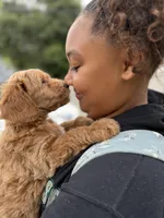 processed/9a9b9901-a09f-44aa-8873-65541f2da741/facility/1fea5c0c-953b-4112-be82-a7c1353c8780