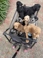 processed/9a9b9901-a09f-44aa-8873-65541f2da741/facility/22d2e796-25bb-4310-9aab-6b3eede1e729