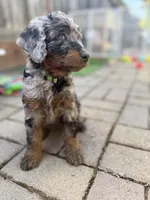 processed/9a9b9901-a09f-44aa-8873-65541f2da741/facility/4d25f4ef-4043-4e21-9911-1ab856f32fc5