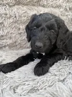 processed/9a9b9901-a09f-44aa-8873-65541f2da741/facility/8684d55f-f947-4dfb-ac8a-f69b79c433f9