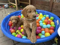 processed/9a9b9901-a09f-44aa-8873-65541f2da741/facility/9015f0c1-2ba4-4755-b828-b29bd8c30c87