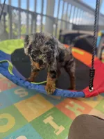 processed/9a9b9901-a09f-44aa-8873-65541f2da741/facility/ba98b60e-a9ba-419b-a805-5527380ed9f6