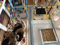 processed/9a9b9901-a09f-44aa-8873-65541f2da741/facility/e68dcf4b-cd4d-4790-a4f9-8a623a1d7b59