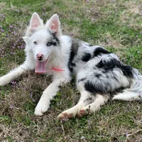 processed/9aa4ce0c-3b51-4096-94ed-cda65735662d/facility/142b398e-5b73-4c84-9eea-5686bc128920