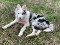 processed/9aa4ce0c-3b51-4096-94ed-cda65735662d/facility/142b398e-5b73-4c84-9eea-5686bc128920