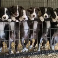 processed/9aa4ce0c-3b51-4096-94ed-cda65735662d/facility/18e37475-b285-4ea0-8fac-a28ed7bb5558