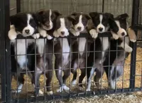 processed/9aa4ce0c-3b51-4096-94ed-cda65735662d/facility/18e37475-b285-4ea0-8fac-a28ed7bb5558