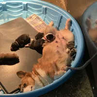 processed/9aa4ce0c-3b51-4096-94ed-cda65735662d/facility/19e84e5a-7737-49bd-a85d-f340c49865eb