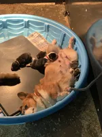 processed/9aa4ce0c-3b51-4096-94ed-cda65735662d/facility/19e84e5a-7737-49bd-a85d-f340c49865eb