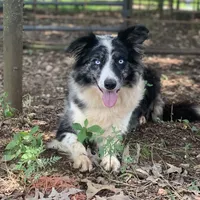 processed/9aa4ce0c-3b51-4096-94ed-cda65735662d/facility/766ef7ca-175f-4d44-8348-95578bf1e6d0