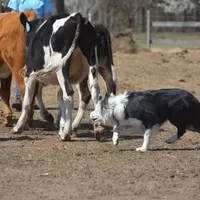 processed/9aa4ce0c-3b51-4096-94ed-cda65735662d/facility/7c4373a5-b16a-4007-8fa4-8a20f8722391