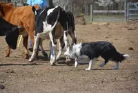 processed/9aa4ce0c-3b51-4096-94ed-cda65735662d/facility/7c4373a5-b16a-4007-8fa4-8a20f8722391