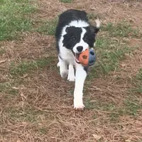 processed/9aa4ce0c-3b51-4096-94ed-cda65735662d/facility/99d241f6-f5e8-4466-8e35-c860229aaf03