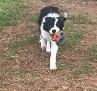 processed/9aa4ce0c-3b51-4096-94ed-cda65735662d/facility/99d241f6-f5e8-4466-8e35-c860229aaf03